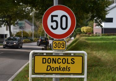Randonnée Marche Winseler - 20211017 - Doncols 8.4 Km - Photo