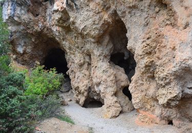 Tour Wandern Aups - Aups - Grottes - Croix des Pins - Col de Besc - Photo