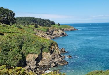 Randonnée Marche Le Palais - le palais Sauzon Belle île 17 mai 2022 CA - Photo