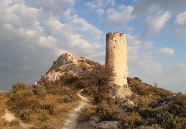 Randonnée Marche Paradou - Le Paradou : les tours de Castillon - Photo