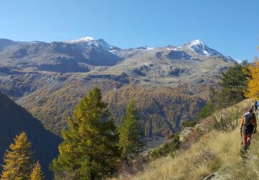 Trail Walking Freissinières - les Violins  Dormillouse  - Photo