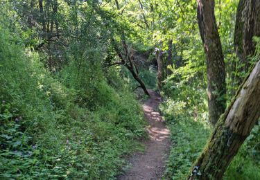 Trail Walking Ballancourt-sur-Essonne - Ballancourt-sur-Essonne - Photo