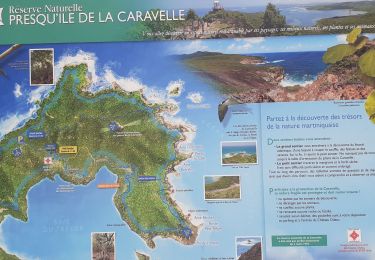 Tour Wandern La Trinité - La caravelle  - Photo