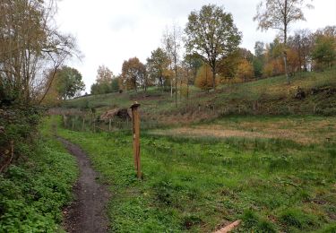 Tocht Stappen Kasteelbrakel - #201113 - Braine-le-Château, Huit Drèves, l'Ermitage et Bois de Clabecq - Photo