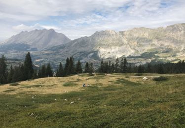 Tour Wandern Le Dévoluy - Myrtille  - Photo