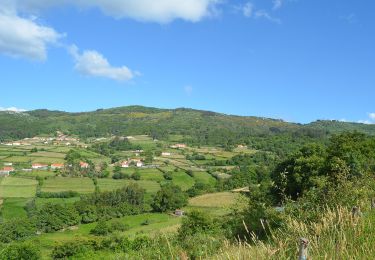 Percorso A piedi Bico e Cristelo - Trilho do Alto dos Morrões - Photo