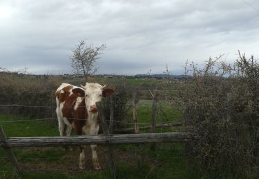 Tour Wandern Pollionnay - Montolvet - Col de la Luère- L'Arbresle - St Consorce  - Photo