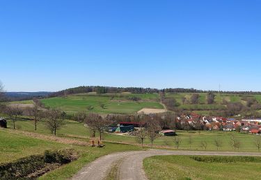 Randonnée A pied Ebelsbach - Heilig-Länder-Runde - Photo