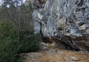 Tour Wandern Méailles - Rando dim21nov2921Meailles - Photo