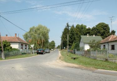 Percorso A piedi Pusztaszentlászló - Z+ - Photo