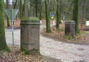 Tocht Te voet Renkum - Hoog Oorsprong-Zilverberg-route - Photo