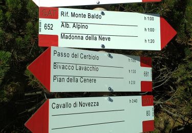 Randonnée A pied Avio - Sentiero Bovi - Photo