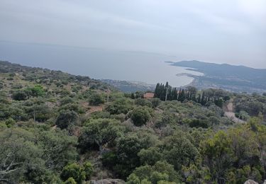 Tour Wandern Bormes-les-Mimosas - 3 cols de Bormes  - Photo