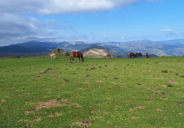 Tour Wandern Lecumberry - okabe - Photo