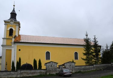 Trail On foot Hercegkút - K■ (Cifra-kút - Hercegkút) - Photo