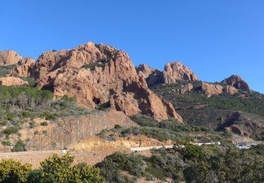 Percorso A piedi Saint-Raphaël - Rastel d'Agay par le Sommet Mourrefrey Estérel  3544 ET - Photo