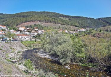 Trail On foot  - Rota de Vale de Amoreira - Photo