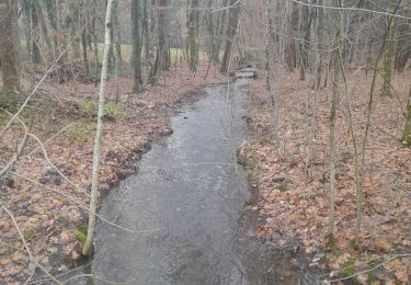 Trail Walking Bertrix - rando 10 km à Biourge. - Photo