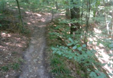 Trail Walking Seraing - seraing bois de l'abbaye - Photo