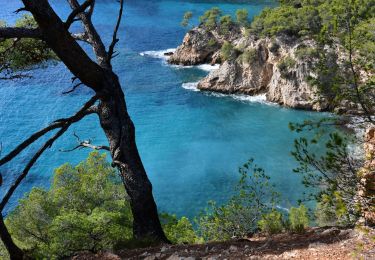 Trail Walking Saint-Cyr-sur-Mer - Port de la Madrague - Pointes Fauconnière, des 3 Fours, du Défends, des Termes et des Engraviers - Bandol - Photo