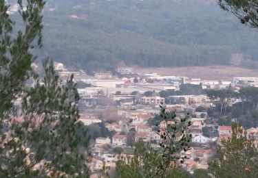 Tocht Stappen La Penne-sur-Huveaune - boucle de la penne  - Photo