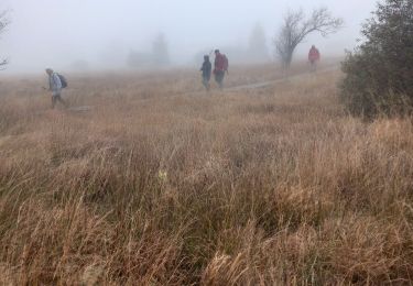 Trail Walking Waimes - baraque michel - Photo