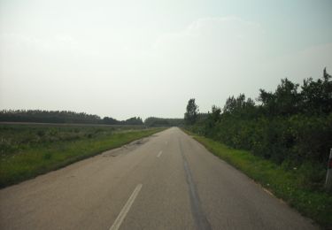 Percorso A piedi Bélmegyer - P+ - Photo