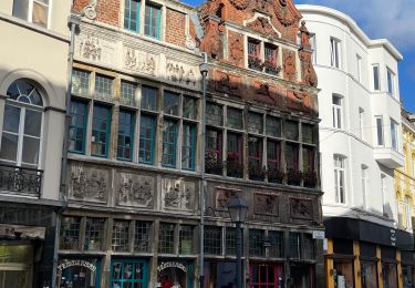Tour Wandern Gent - Centre de Gand  - Photo