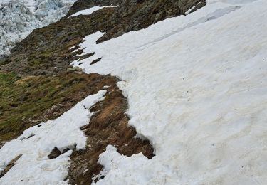 Tocht Stappen Chamonix-Mont-Blanc - La Jonction depuis le parking de Mont (Chamonix) - Photo