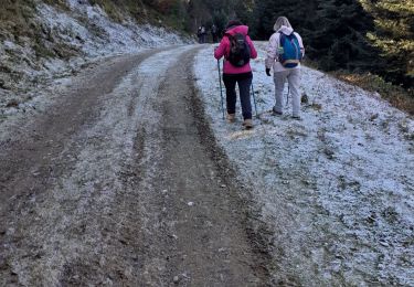 Tour Wandern Aucun - AUCUN VERO rando couraduque hivernale - Photo