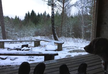 Randonnée A pied Inconnu - Vildmarksspåret Hjortgården 10km (gamla spåret) - Photo