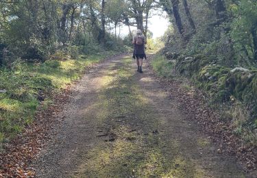 Trail Walking Floirac - Uffande - Photo