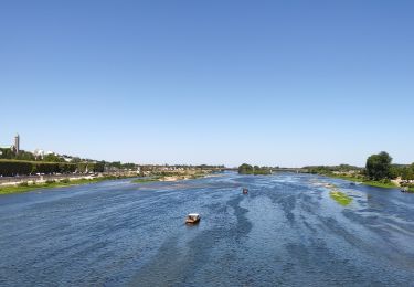 Tour Rennrad Muides-sur-Loire - Itinéraire 12 - Au fil de Loire - Photo
