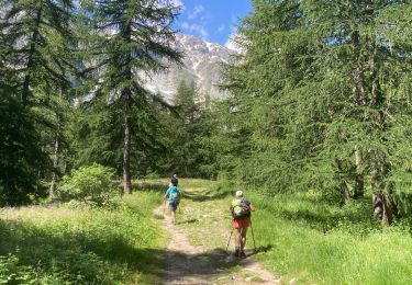 Excursión Marcha nórdica Le Monêtier-les-Bains - Lac de la douché par le tabac - Photo