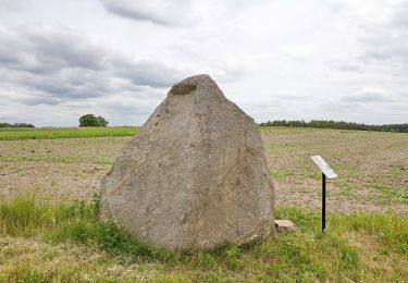 Percorso A piedi Landesbergen - Hermann-Löns-Wanderweg um Brokeloh - Photo