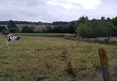 Tocht Stappen Elzele - Rando des collines J2 - Photo