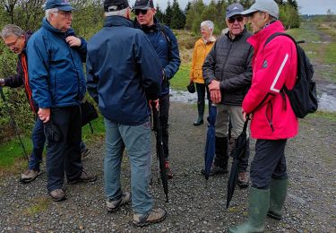 Tour Wandern Weismes - Mont Rigi - Photo