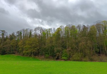 Tour Wandern Lüttich - autour du ruisseau de colonster via la grimpette des 3 sapins et retour via le château  - Photo