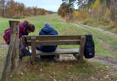 Excursión Senderismo Genk - Genk -Zonhoven - Photo