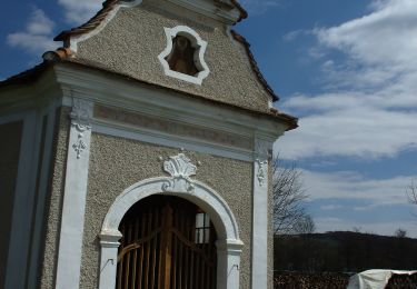 Tour Zu Fuß Bad Waltersdorf - Ausdauer Waldlauf - Photo