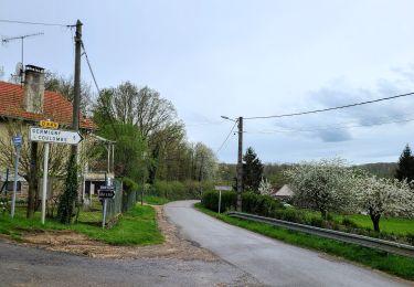 Trail Walking Marigny-en-Orxois - Marigny-en-Orxois du 07-04-2024 - Photo