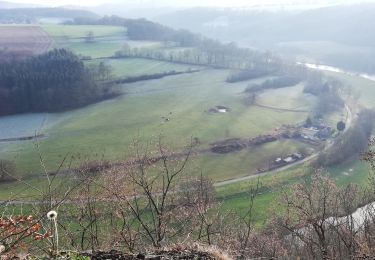 Trail Walking Esneux - Autour de la boucle depuis Avister - Photo