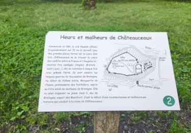 Tour Wandern Orée-d'Anjou - Champtoceaux  - Photo