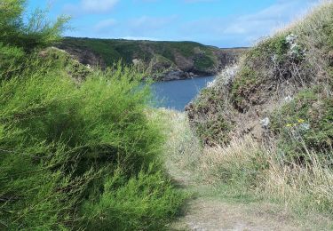 Trail Walking Sauzon - GR 340 - Belle-Ile Jour 2 de la Pointe des Poulains au Grand Large - Photo