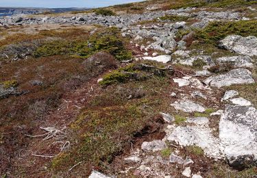 Tocht Stappen Saint-Pierre - vers repieds - Photo