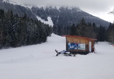 Tour Langlaufen Sarcenas - Ski de fond - col de porte - Photo