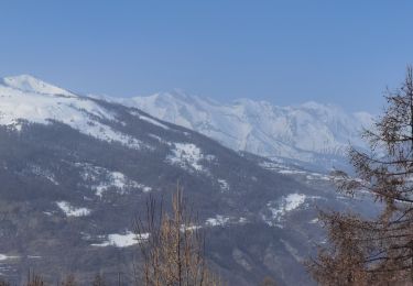 Tour Schneeschuhwandern Colmars - raquettes à Rateri - Photo
