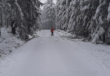 Trail Walking Waimes - Lac Noir - Photo