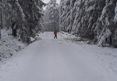 Tour Wandern Weismes - Lac Noir - Photo