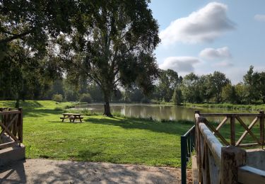 Tour Wandern Champigny-sur-Veude - Champigny-sur-Veude - Richelieu Chaveignes - 23.2km 180m 5h15 (50mn) - 2024 09 10 - Photo